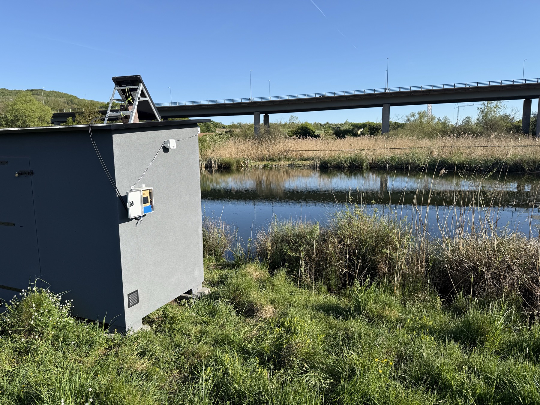 Orpheus deployed at the Schlammwiss ringing station in Luxembourg — solar panel on the roof, playback unit mounted on the hide